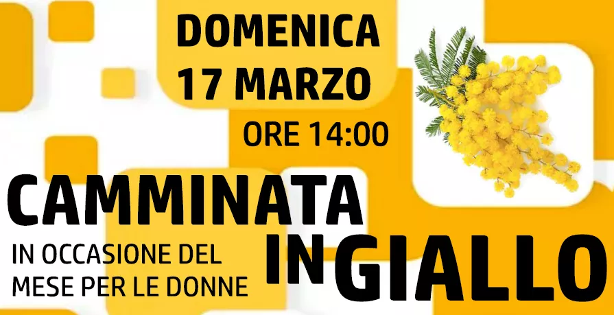 Un'immagine generica segnaposto con angoli arrotondati in una figura.